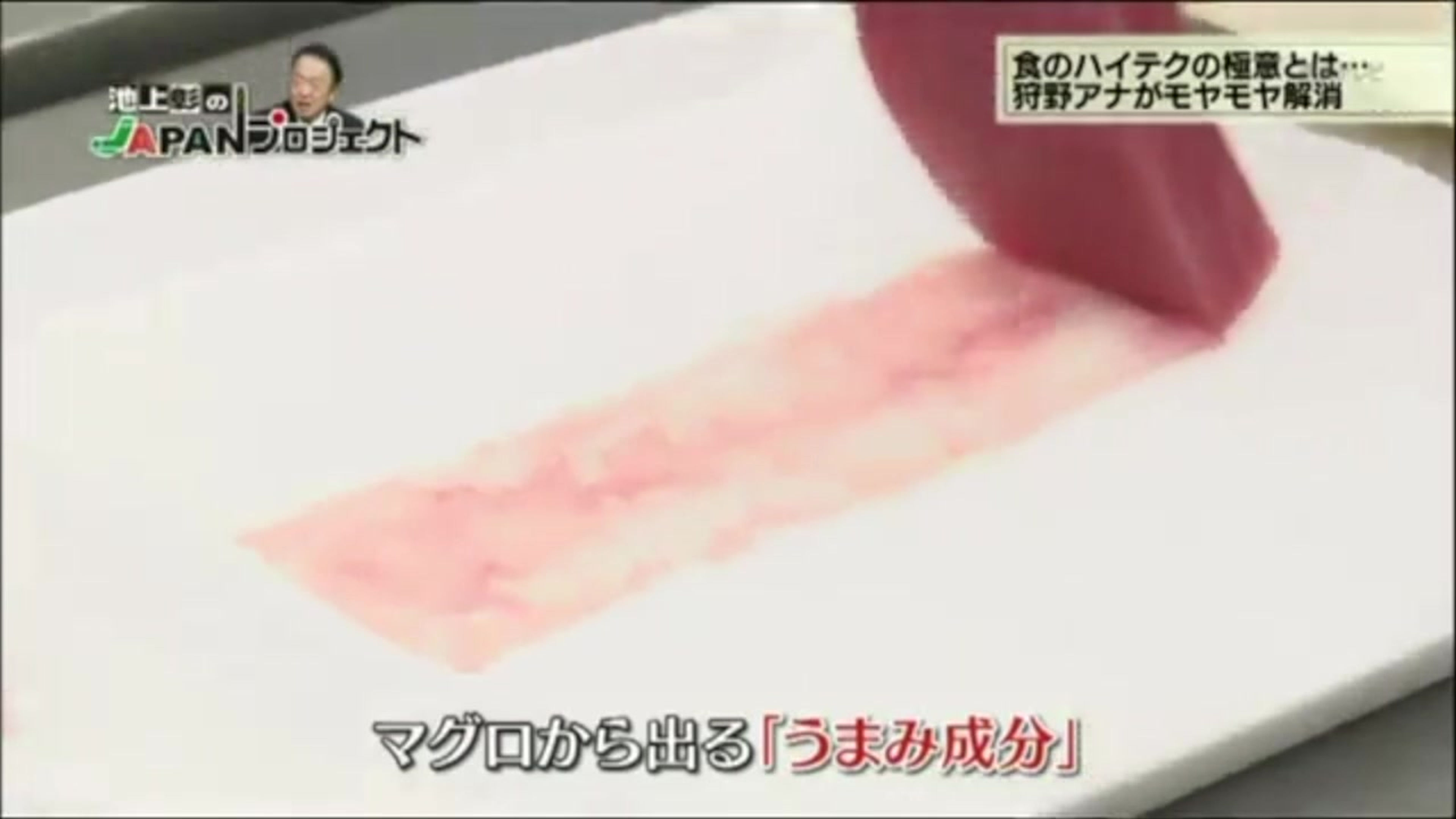 TV JAPON NOTICIAS SOBRE PROTON プロトン紹介